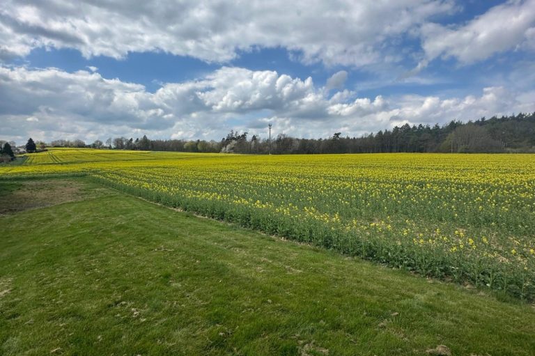 Ferienwohnung Hof Schöneck Impressionen Ferienhaus Ferienwohnung Hof Schöneck Mosel Mittelrhein Koblenz Cochem Oberwesel