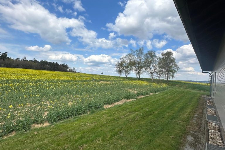Ferienwohnung Hof Schöneck Impressionen Ferienhaus Ferienwohnung Hof Schöneck Mosel Mittelrhein Koblenz Cochem Oberwesel